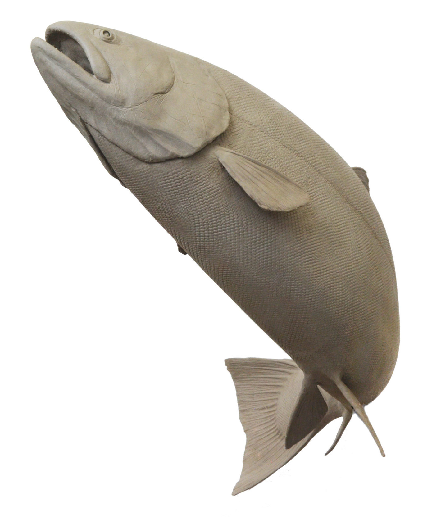 Trout Clay WHITE 1